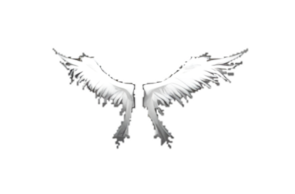 Wings of Heaven