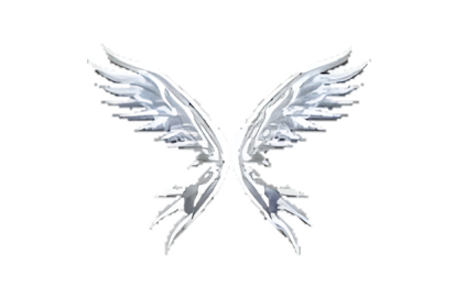 Wings of Soul